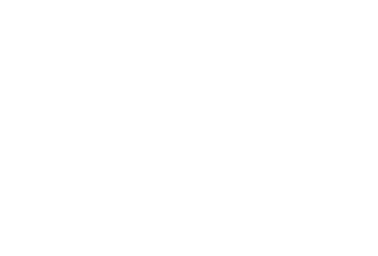 The Social Hub logo